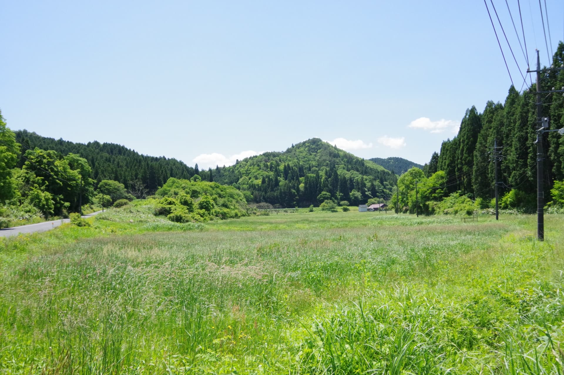 農地